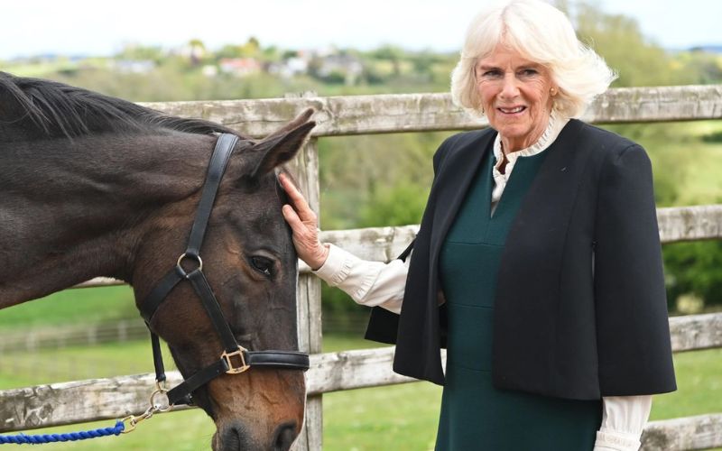 La reina consorte Camilla Parker admite que es demasiado mayor para seguir ejerciendo sus funciones