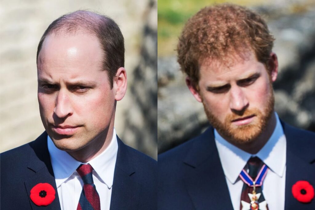 La terrible consecuencia que abordará al príncipe William y el príncipe Harry el día de la coronación