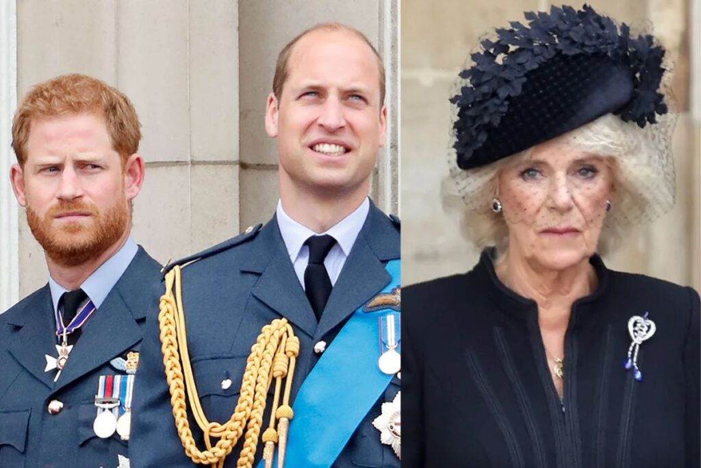 Príncipes William y Harry se oponen a que Camilla Parker sea la nueva reina