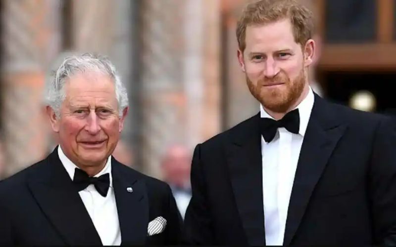 Se filtra el oscuro plan del príncipe William para silenciar completamente al príncipe Harry