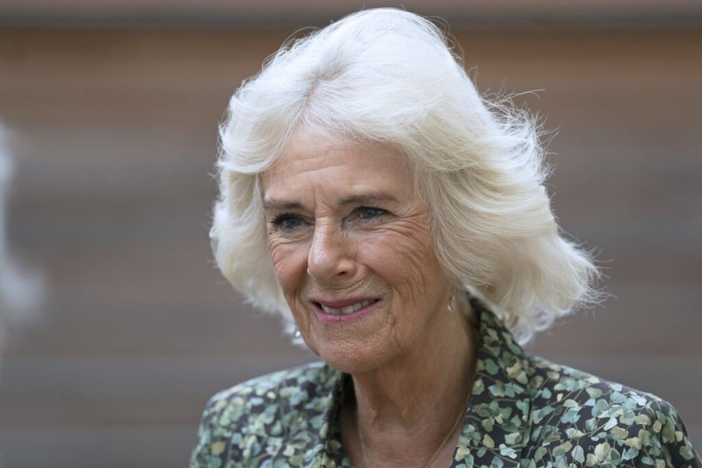 Vinculan a Camilla Parker con la prensa británica y sus intentos de acabar con la monarquía