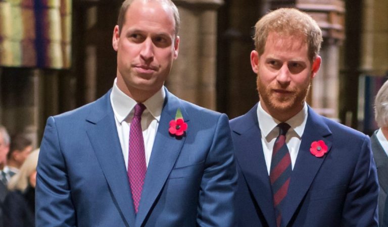 El Príncipe William y el Príncipe Harry podrían haberse reconciliado de acuerdo a los fans de la realeza