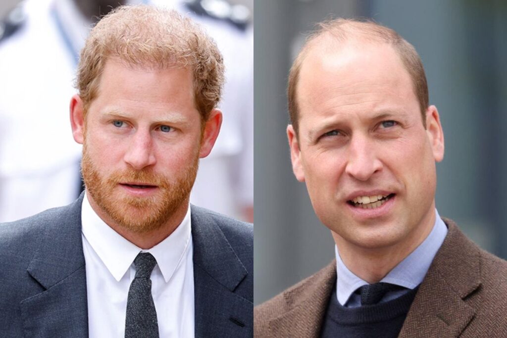 El príncipe Harry creería que el príncipe William planeo todo para "convertirlo en el repuesto"