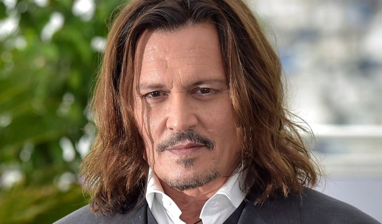 Johnny Depp pospone actividades en Estados Unidos tras sufrir accidente