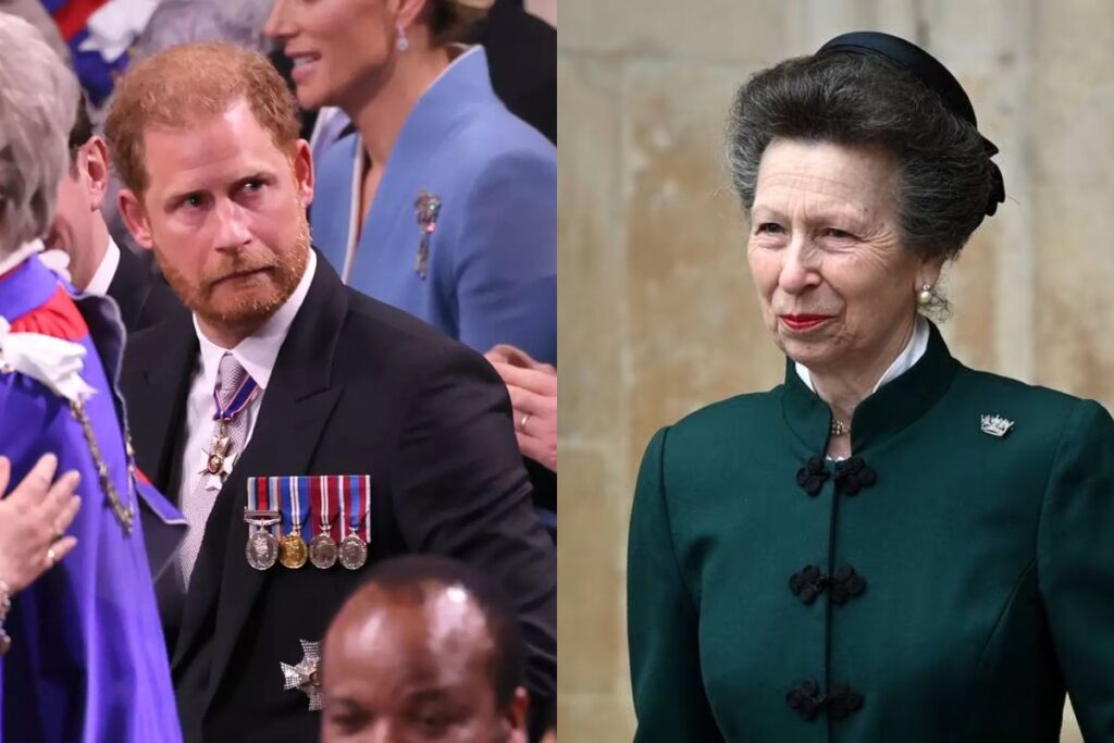 La hilarante interacción del príncipe Harry y su tía, la princesa Ana, durante la coronación del rey Carlos