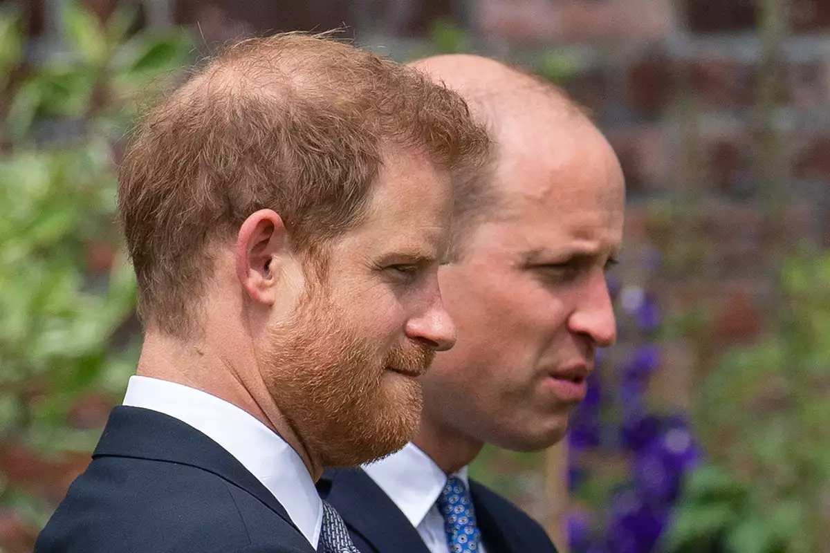 El acuerdo del príncipe Harry y el príncipe William para criar a todos sus hijos