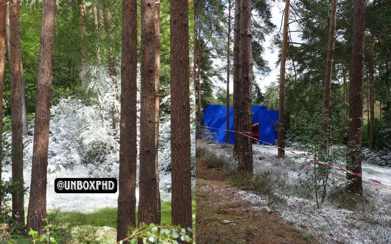 El aspecto de Game of Thrones que estará de regreso en la segunda temporada de House of The Dragon