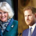 La Reina Camilla no quiere que el Príncipe Harry vuelva a la familia real británica
