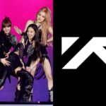 Las acciones de YG Entertainment continúan cayendo en medio de preocupaciones sobre la renovación del contrato de BLACKPINK