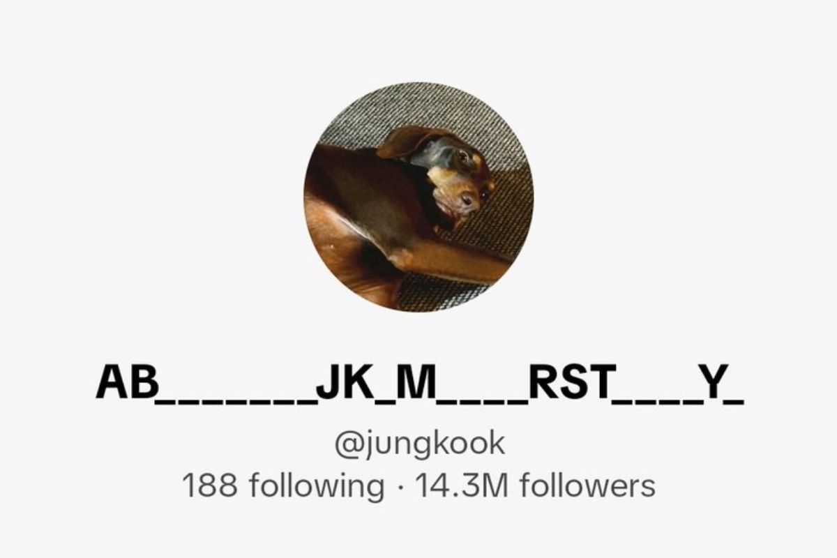 Jungkook de BTS realiza un cambio en su cuenta de TikTok y todo es por sus ARMYs