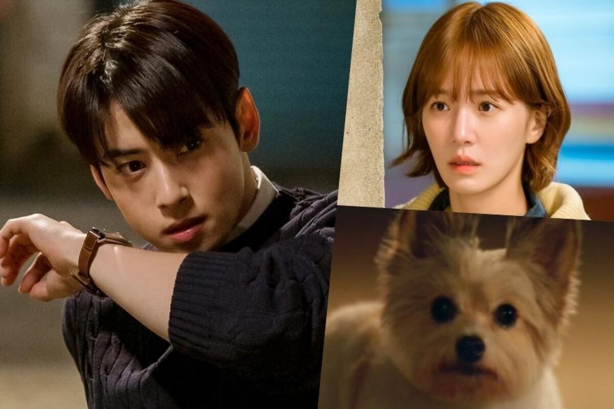 4 razones por las que 'A Good Day To Be A Dog' es el K-drama mas esperado del momento