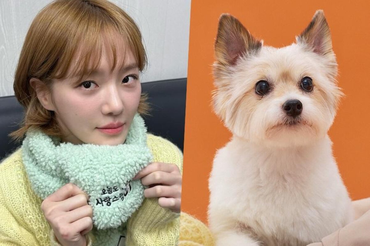 4 razones por las que 'A Good Day To Be A Dog' es el K-drama mas esperado del momento