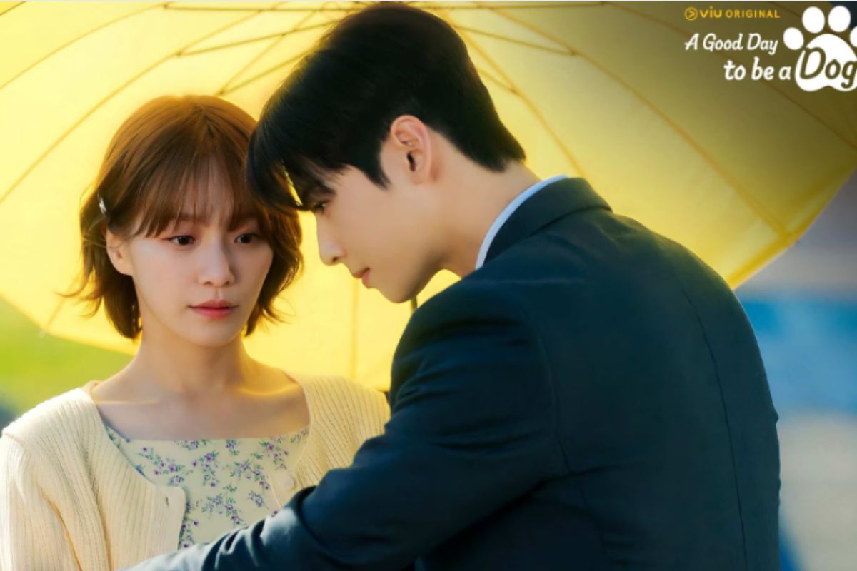 'A Good Day To Be a Dog' de Cha Eunwoo disfruta del aumento en su rating luego de su corta pausa