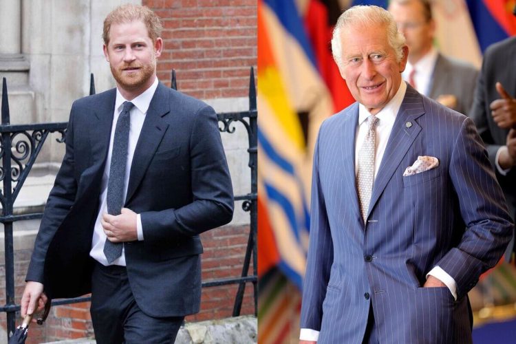 El príncipe Harry rechaza invitación del rey Carlos III para celebrar su cumpleaños 75°