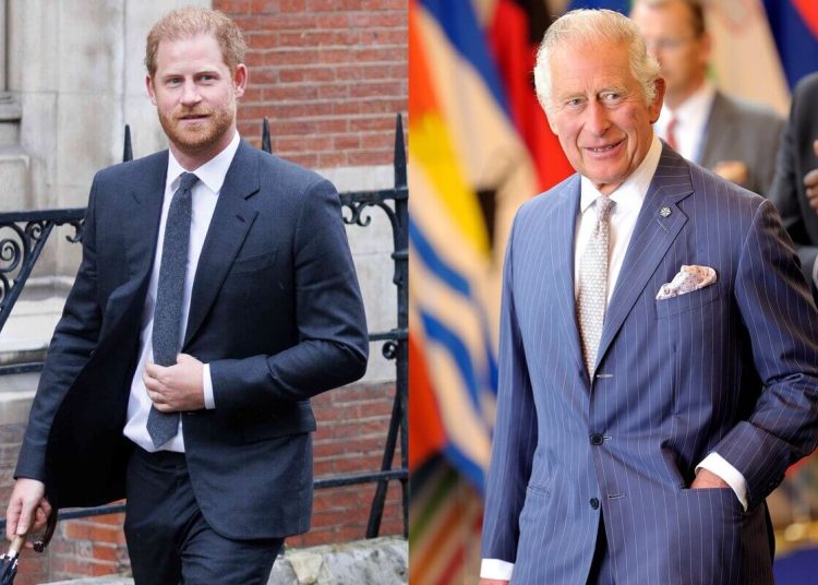 El príncipe Harry rechaza invitación del rey Carlos III para celebrar su cumpleaños 75°