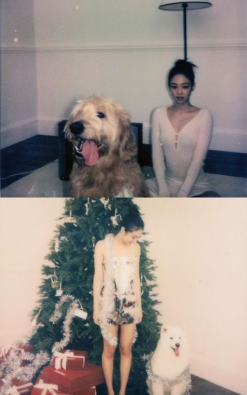 Jennie de BLACKPINK comparte nuevas fotografías navideñas y cautiva a todos sus fans