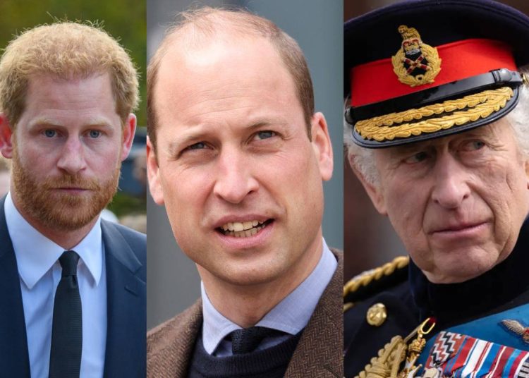 El príncipe Harry envía un mensaje claro al rey Carlos III y al príncipe William