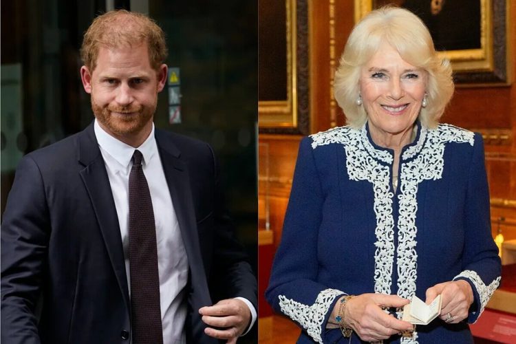 El príncipe Harry le hizo un desplante a la reina Camilla en su encuentro con el rey Carlos III