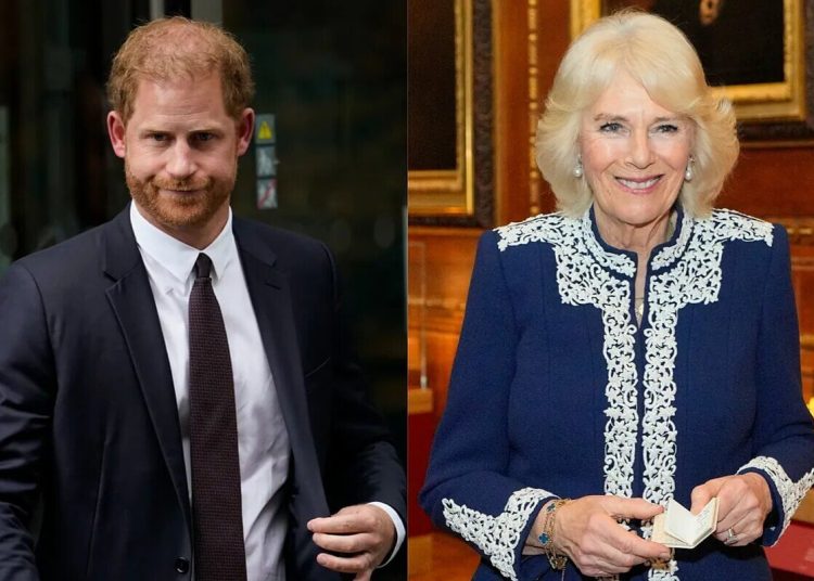El príncipe Harry le hizo un desplante a la reina Camilla en su encuentro con el rey Carlos III