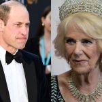 El principe William y la reina Camilla Parker deberan cooperar dejando de lado sus diferencias