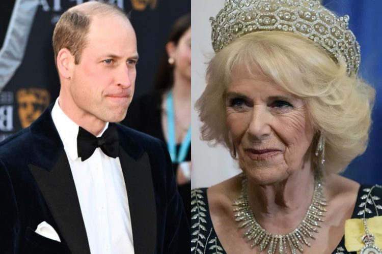 El principe William y la reina Camilla Parker deberan cooperar dejando de lado sus diferencias