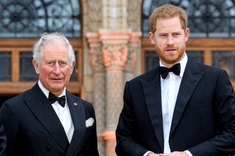 La verdadera razón por la que el príncipe Harry estuvo solo 45 minutos con el rey Carlos III