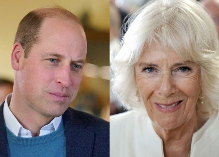 El príncipe William dejó sola a la reina Camilla Parker en la recepción de la Commonwealth