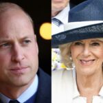 El príncipe William y Camilla Parker, destinados a trabajar juntos, 'envían un mensaje' a los críticos de la monarquía El príncipe William y Camilla Parker, destinados a trabajar juntos, 'envían un mensaje' a los críticos de la monarquía