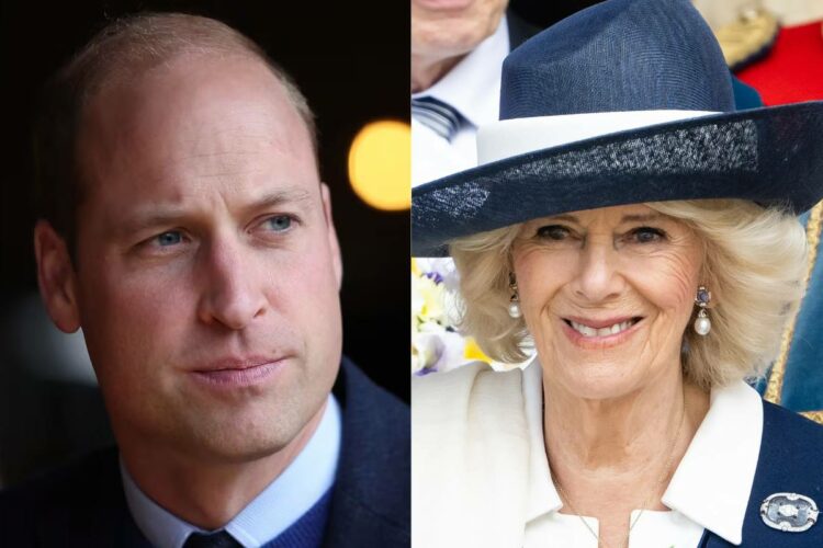 El príncipe William y Camilla Parker, destinados a trabajar juntos, 'envían un mensaje' a los críticos de la monarquía