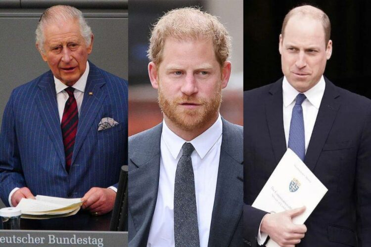 El rey Carlos III buscaría la reconciliación entre el príncipe William y el príncipe Harry