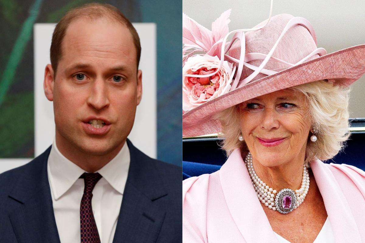 El príncipe William dejó sola a la reina Camilla Parker en una recepción de la Commonwealth