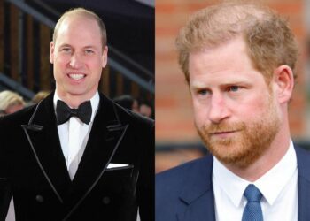 El príncipe Harry y el príncipe William: Un biógrafo real ha realizado una impactante predicación sobre los dos