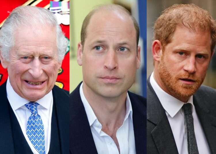 El rey Carlos III habría tomado una importante decisión en medio de la enemistad entre el príncipe William y el príncipe Harry
