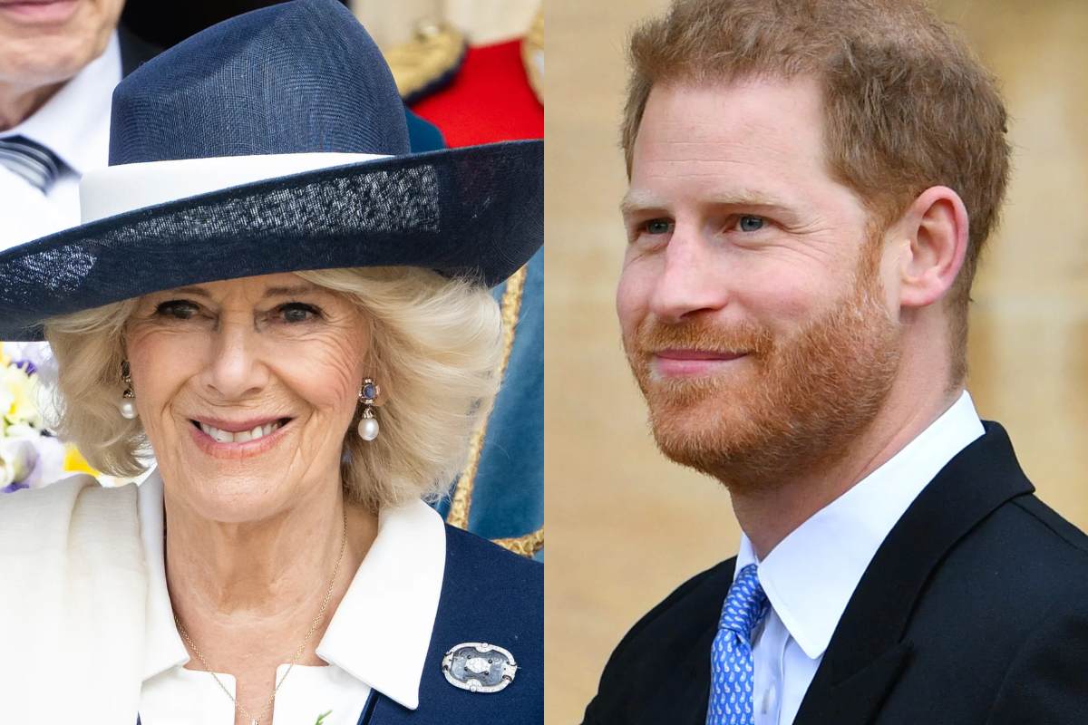 Lo que podría decirle Camilla Parker al príncipe Harry si quiere verse con ella en el Reino Unido