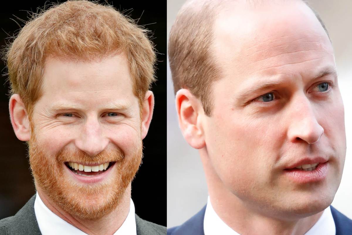 El mensaje oculto en la declaración del príncipe Harry que deja ver como está la relación con el príncipe William