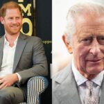 El rechazo del príncipe Harry a una propuesta de alojamiento del rey Carlos indicaría 'problemas muy profundos'