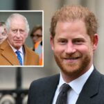 El rey Carlos III habría tomado una decisión final sobre el regreso del príncipe Harry al Reino Unido