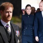 La princesa Kate y el príncipe William no se verán con el príncipe Harry en el Reino unido, afirma la prensa británica