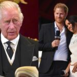 El príncipe Harry y Meghan Markle defenderán el legado del rey Carlos III y de la realeza, afirma experto real