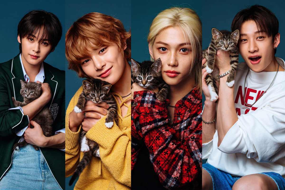 Los seguidores de Stray Kids no podrían estar más celosos de unos gatitos