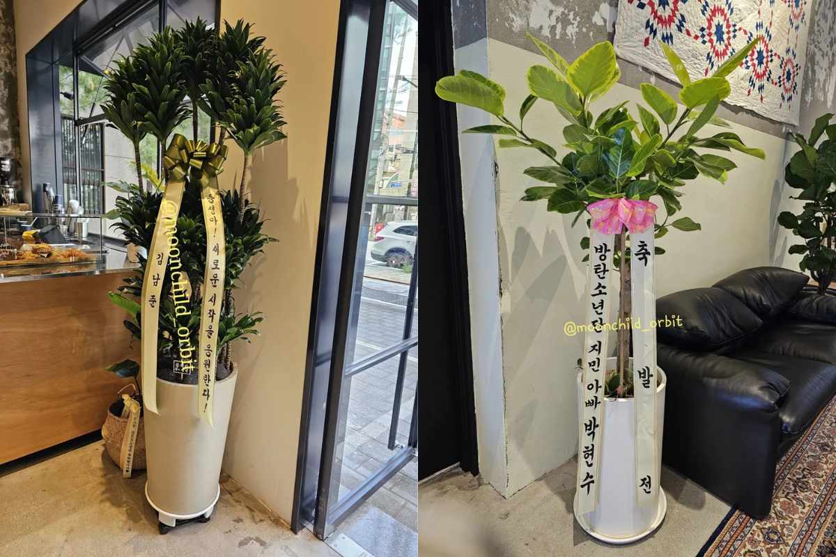 El padre de Jimin de BTS tuvo un lindo gesto en un lugar inesperado