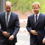 El príncipe Harry y todo lo que dijo sobre la presunta envidia del príncipe William por su barba