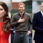 Esto es lo que Kate Middleton piensa del conflicto entre el príncipe William y el príncipe Harry, según experto