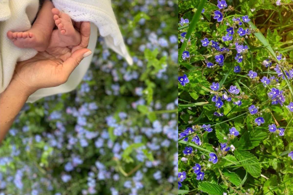 5 veces en las que Meghan Markle y el príncipe Harry le rindieron un homenaje a la princesa Diana