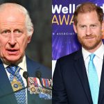 El rey Carlos III le teme a un 'riesgo legal' al reparar su relación con el príncipe Harry, según un experto