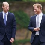 La casa del árbol de la infancia del príncipe William y el príncipe Harry recibe un cambio de imagen