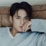 Netizens calificaron la reciente transmisión en vivo de Mingyu de SEVENTEEN como 'contenido para adultos'