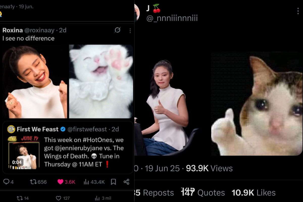 Jennie de BLACKPINK se hace viral al ser comparada con populares memes de gatos
