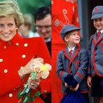 Un chef real reveló la verdadera razón por la que la Princesa Diana llevó a Harry y William a McDonald's
