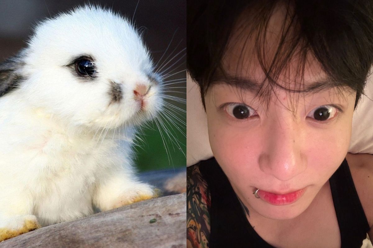 jungkook de BTS parece un tierno conejo en nueva foto de Weverse